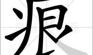 纤的拼音和组词