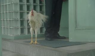 世界奇妙物语2012秋 世界奇妙物语2012秋